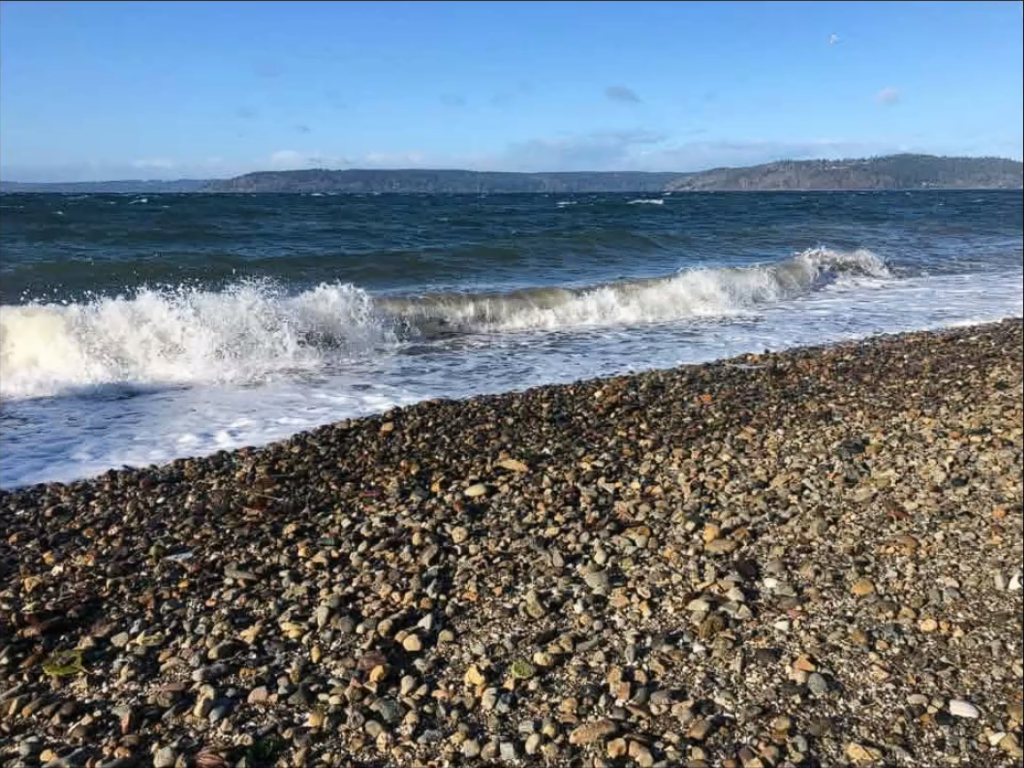 Dash Point view