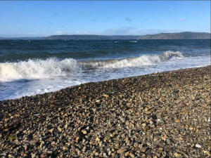 Dash Point view