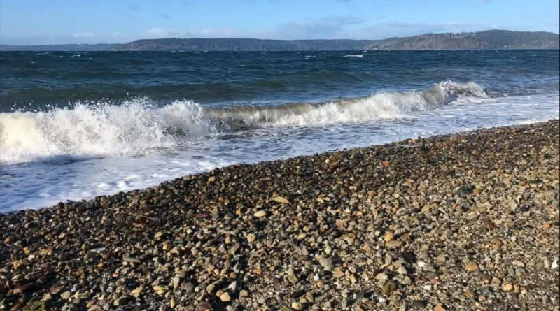 Dash Point view