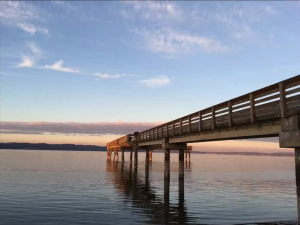 The Dash Point Pier, closed since 2021