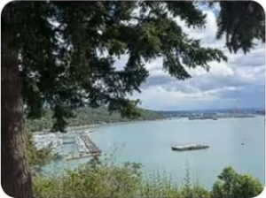 The view from The Cliff House